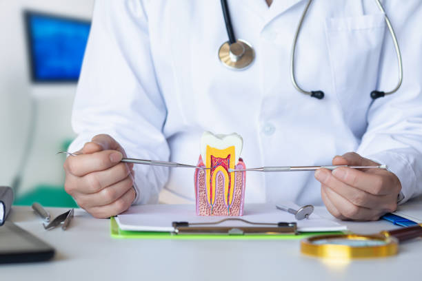Best Emergency Tooth Extraction in Johnson City, TX